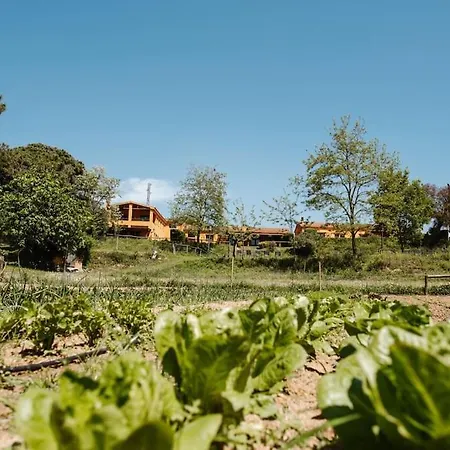 Hortensias Casa Rural En El Campo